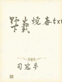 野火烧春txt下载