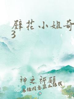 壁花小姐奇遇记3