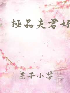 极品夫君好又多