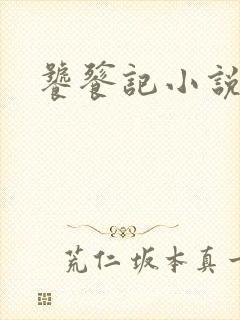 饕餮记小说