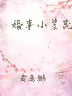 婚事小农民