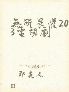 无所畏惧2023电视剧