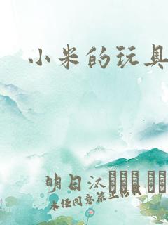 小米的玩具日记