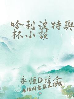 哈利波特与火焰杯小说