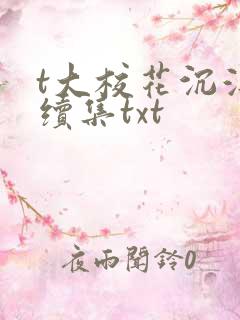 t大校花沉浮录续集txt