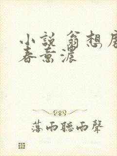 小说 翁想房中春意浓