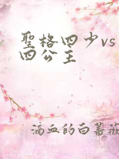 圣格四少vs 四公主