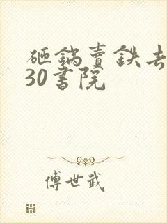 砸锅卖铁去上学30书院