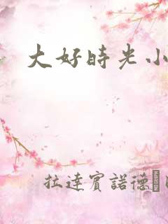 大好时光小说
