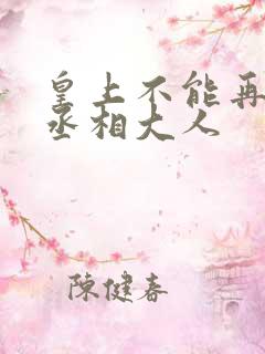 皇上不能再进了丞相大人