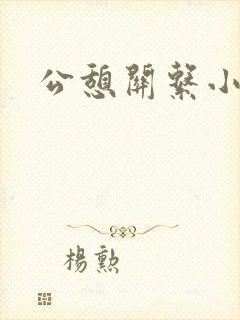公憩关系小说