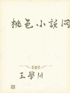 桃色小说网
