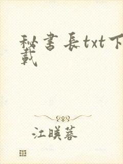 秘书长txt下载