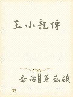 王小龙传