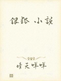 银狐 小说