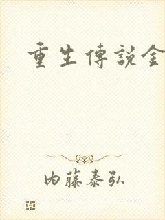 重生传说金手指