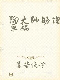 陶大帅助理子豪车祸