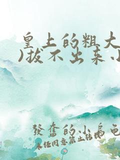 皇上的粗大(h)拔不出来小说