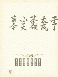 宁小茶太子殿下今天破戒了吗免费阅读