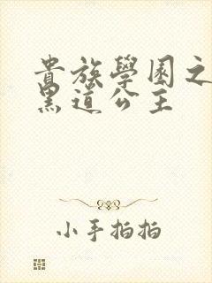 贵族学园之我的黑道公主