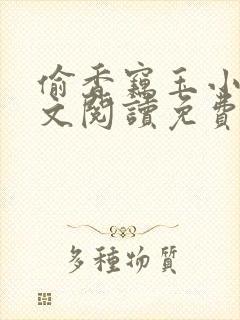 偷香窃玉小说全文阅读免费