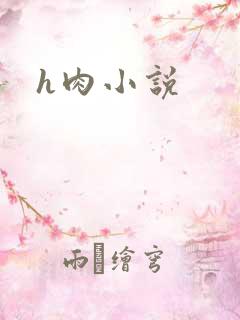 h肉小说