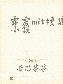 霹雳mit续集小说