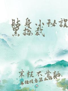 贴身小秘误睡腹黑总裁