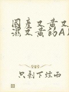 国产又黄又硬又湿又黄的A片小说