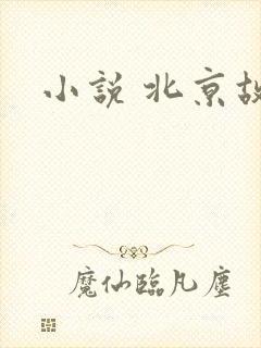小说 北京故事