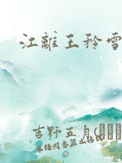 江离王矜雪小说