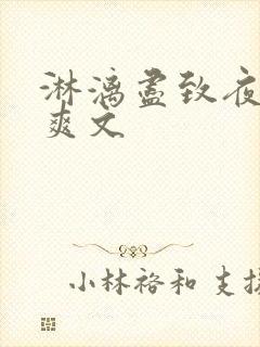 淋漓尽致夜晚小爽文