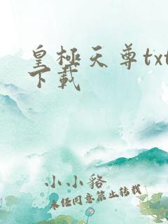 皇极天尊txt下载