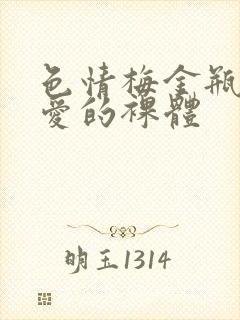 色情梅金瓶2之爱的裸体