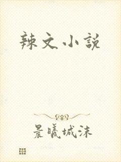 辣文小说