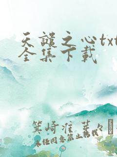 天谴之心txt全集下载