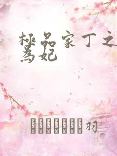 极品家丁之册母为妃