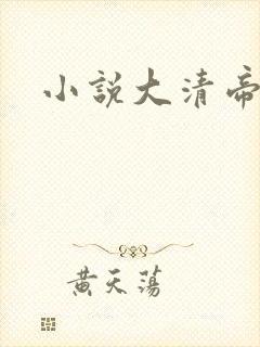 小说大清帝国