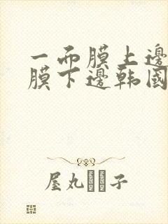 一面膜上边一面膜下边韩国