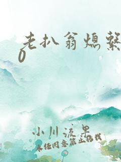 老扒翁熄系列40