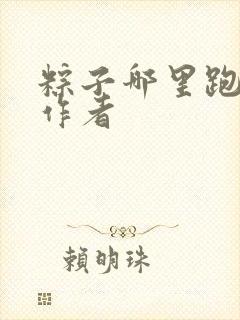 粽子哪里跑小说作者