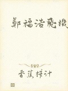 郑福浩飞机坠海