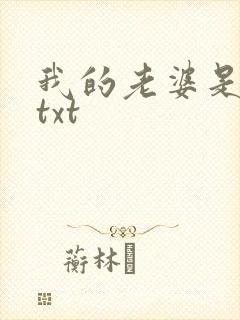 我的老婆是警察txt