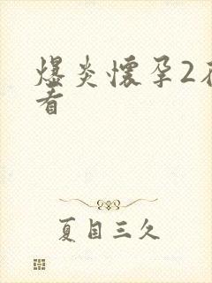 爆炎怀孕2在线看