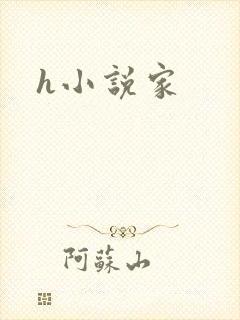 h小说家
