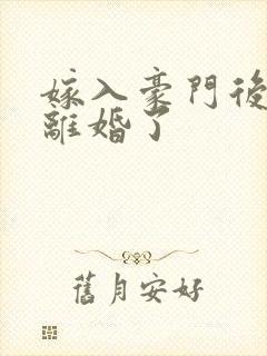 嫁入豪门后我又离婚了