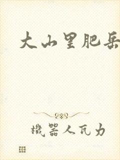 大山里肥岳小说