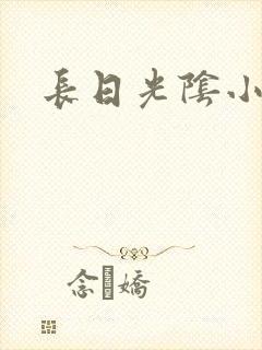 长日光阴小说