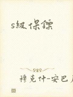 s级保镖