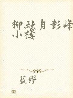 柳秋月彭峰月满小楼